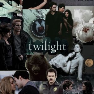 Meet your Posher, Shae